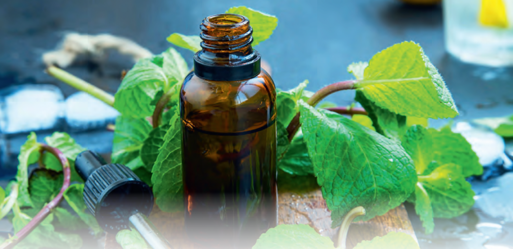 dary natury; fot. istockphoto