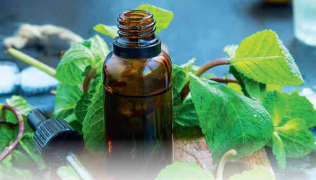 dary natury; fot. istockphoto