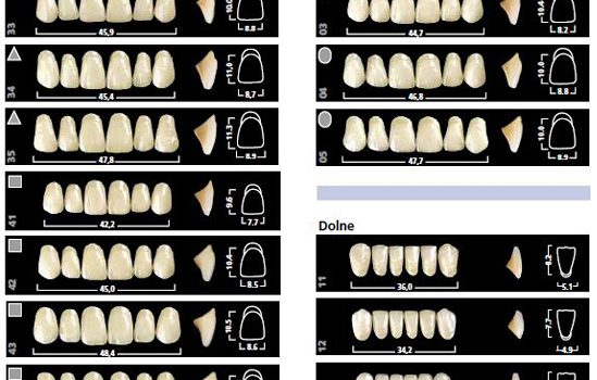 dobór i ustawienie zębów