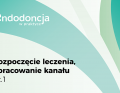 Pierwsza część filmu endodontycznego pokazująca powtórne leczenie kanałowe zęba - rozpoczęcie leczenia i opracowanie kanału cz. I.