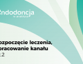 Rozpoczęcie leczenia, opracowanie kanału cz. II