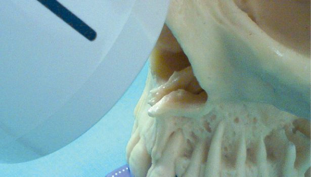 Obrazowanie dwuwymiarowe