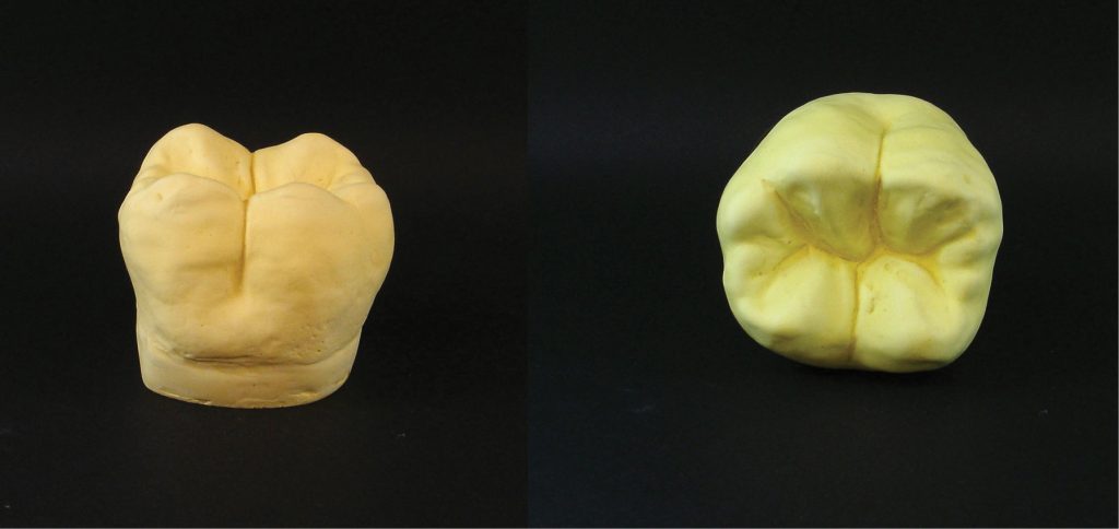 Powielanie fantomów