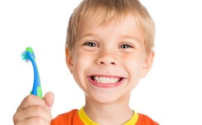 fundacja wiewiorki julii